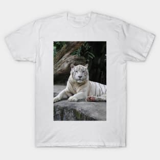 White Tiger 3 T-Shirt